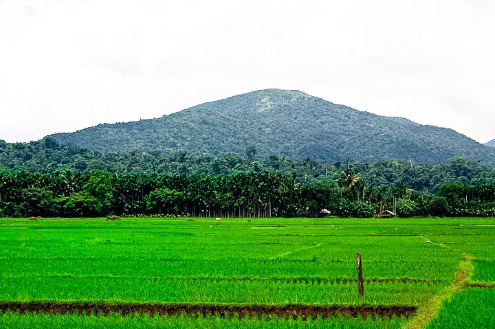 Diglipur