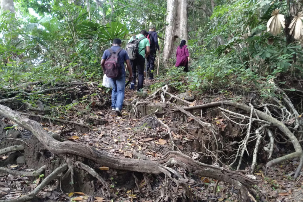 Trekking in Andaman