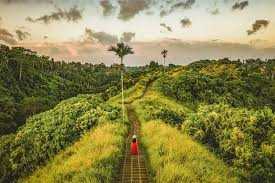 Campuhan Ridge Walk