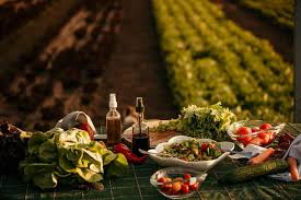 Food Tours in Europe