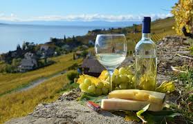 Wine Tasting in Europe