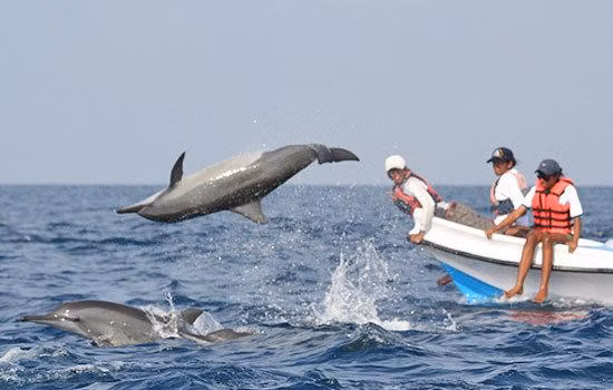 Nature Activities in Goa