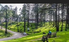 Patnitop