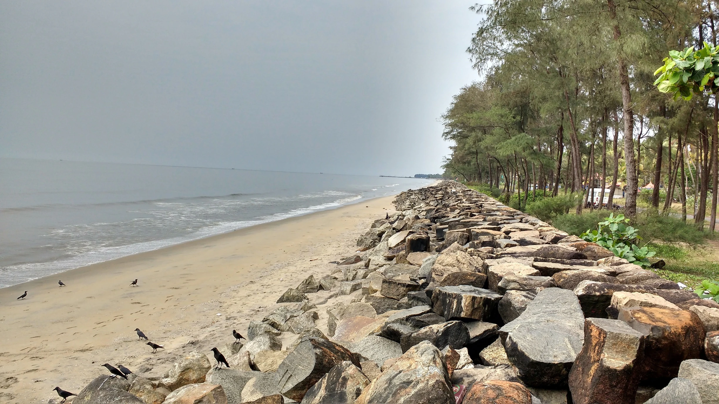 Cherai Beach