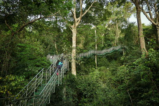 Thenmala