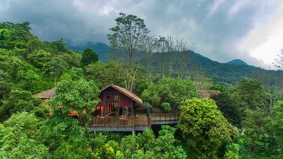 Vythiri Mist Resort