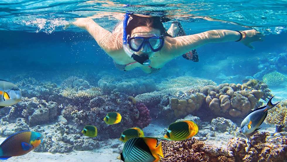 Snorkeling Maldives