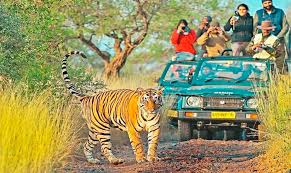 Ranthambore National Park