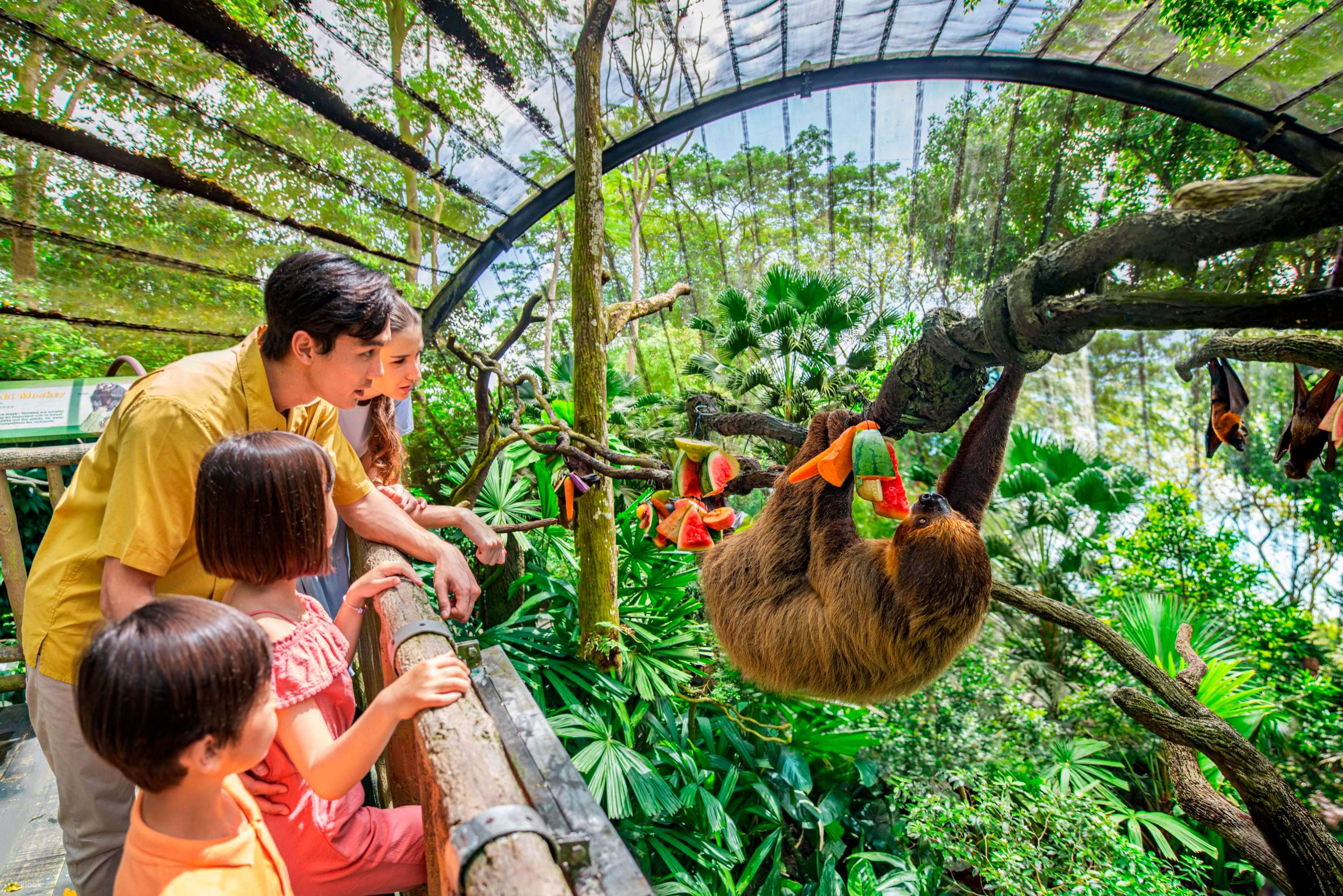 Singapore Zoo