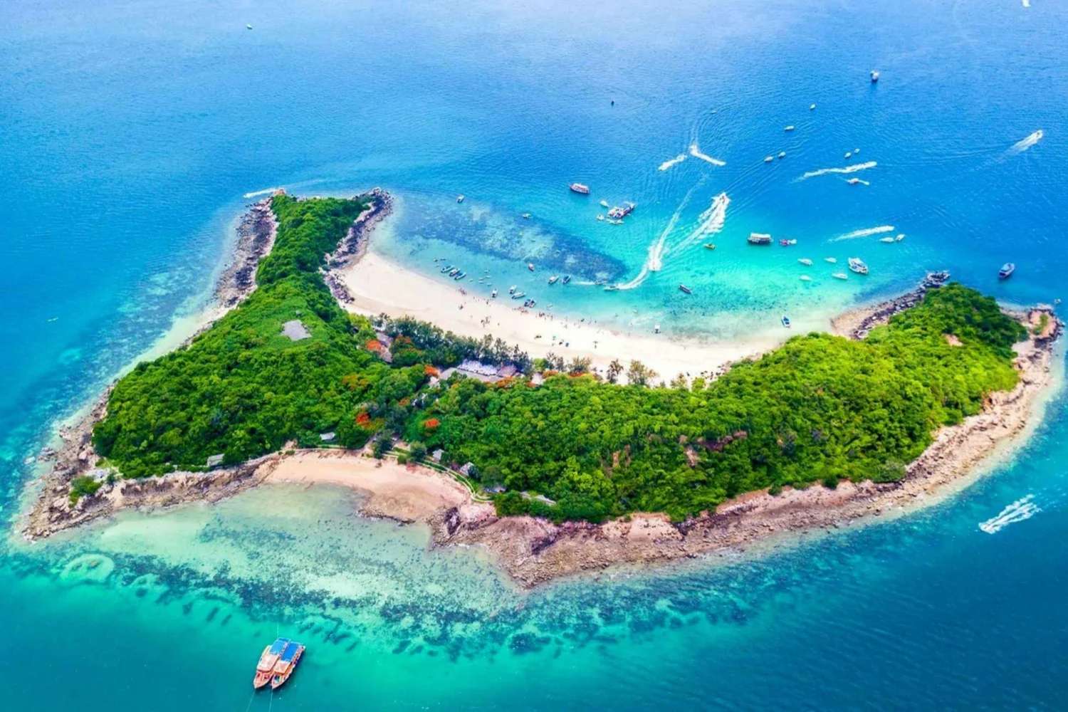 Coral Island