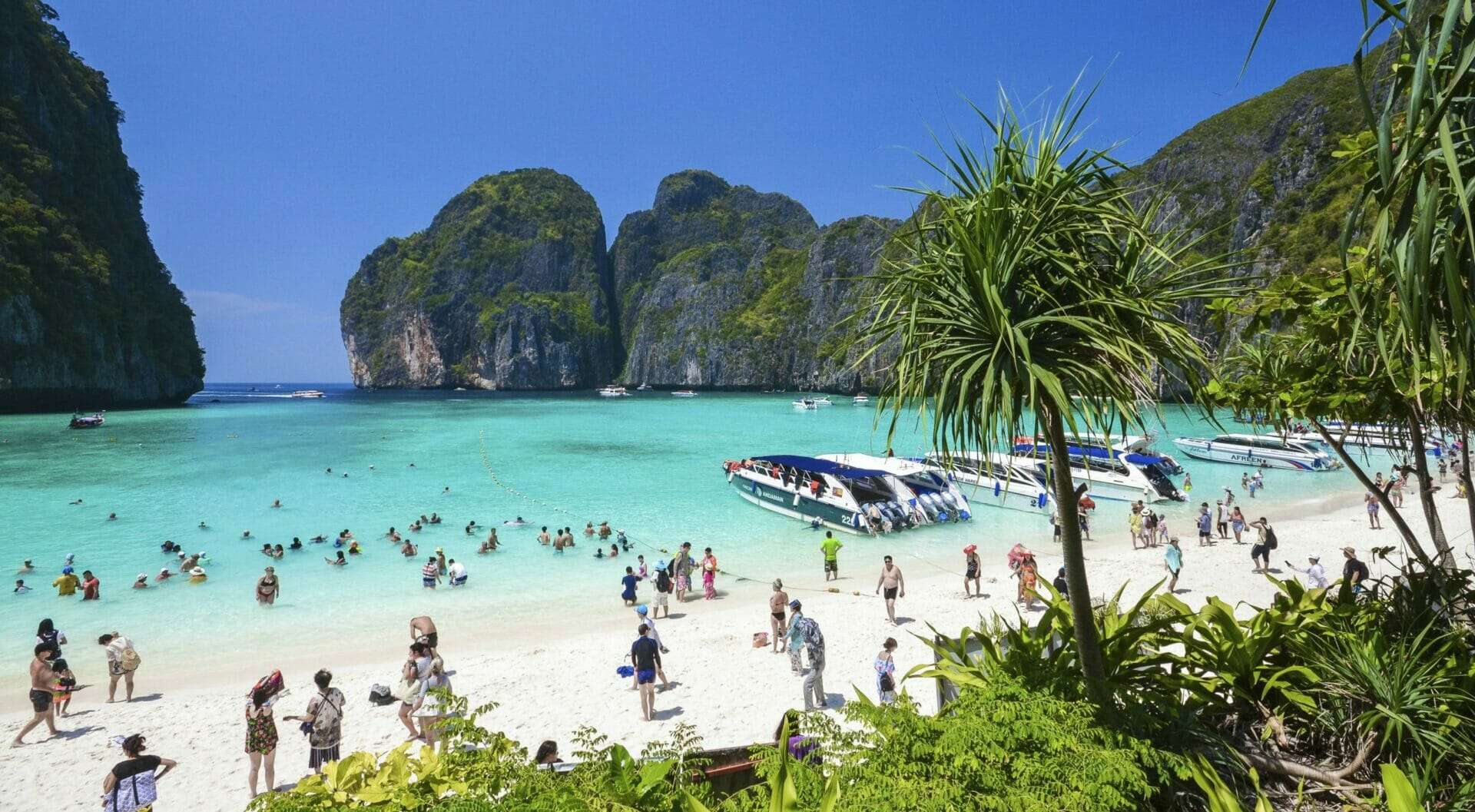 Phi Phi Islands