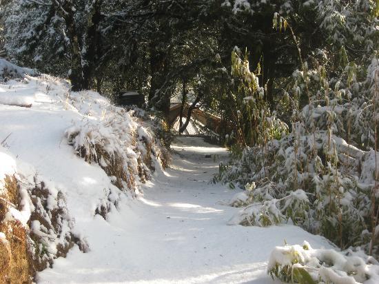 Binsar