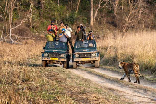 Jim Corbett National Park