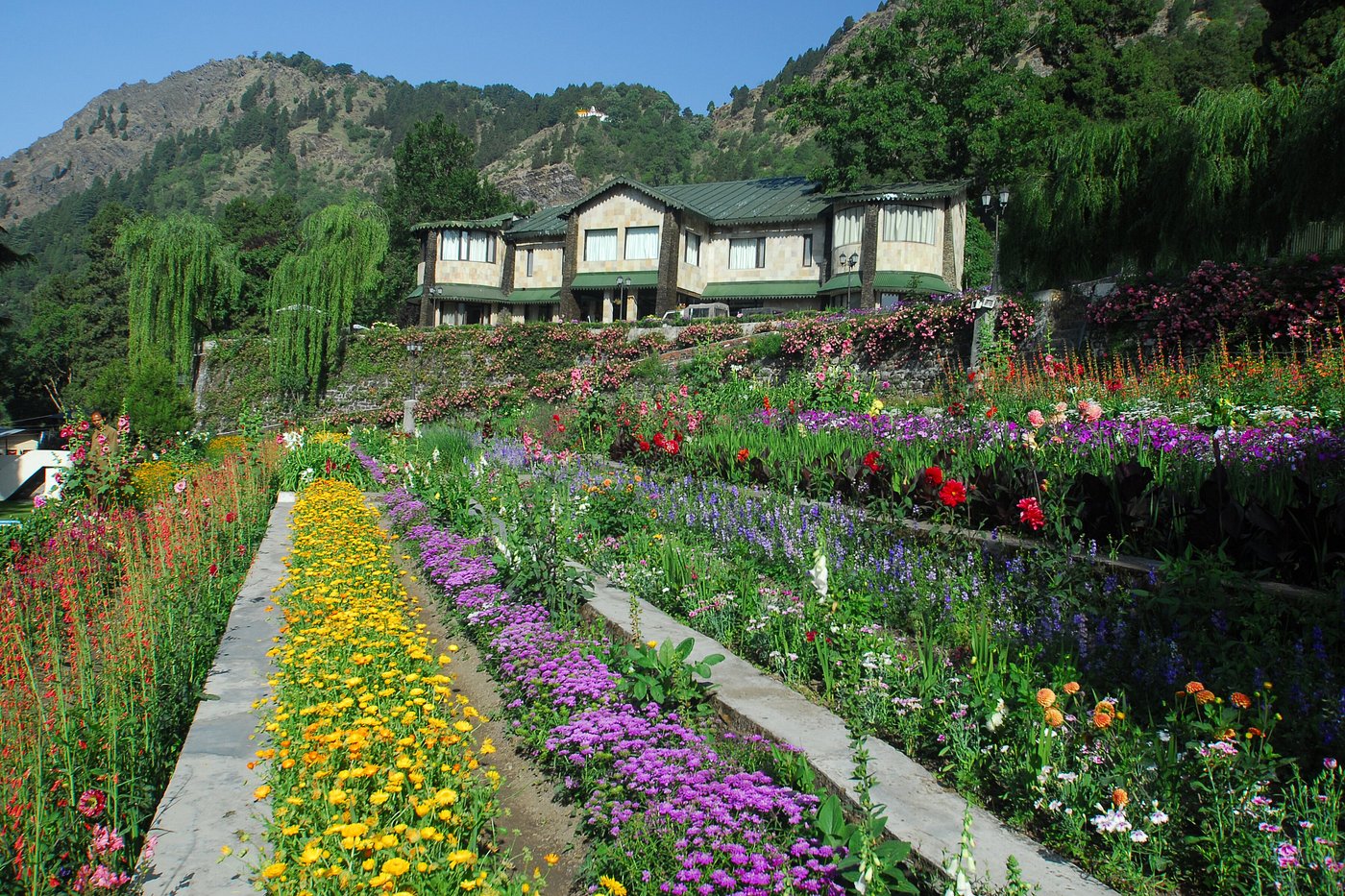 Shervani Hilltop Nainital